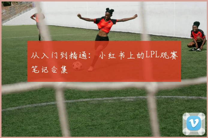 从入门到精通:小红书上的LPL观赛笔记合集