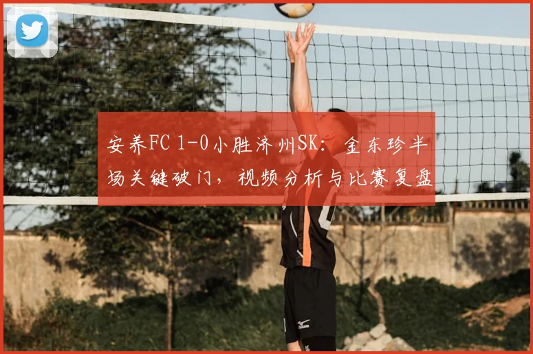 安养FC 1-0小胜济州SK：金东珍半场关键破门，视频分析与比赛复盘