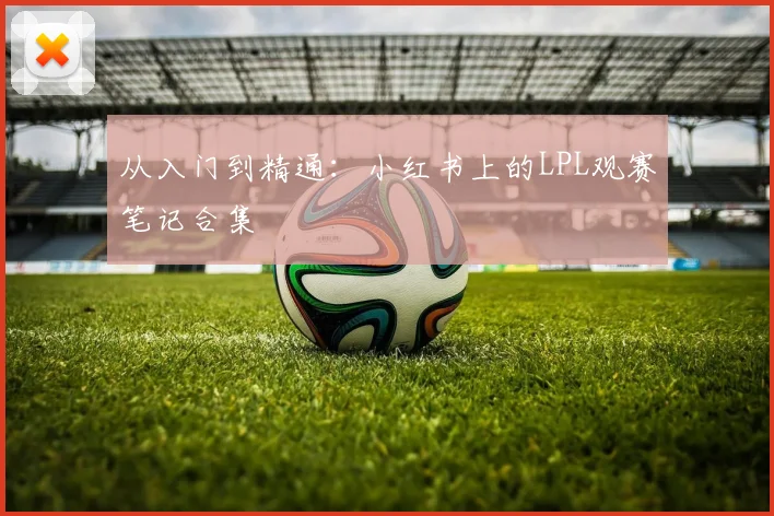 从入门到精通:小红书上的LPL观赛笔记合集