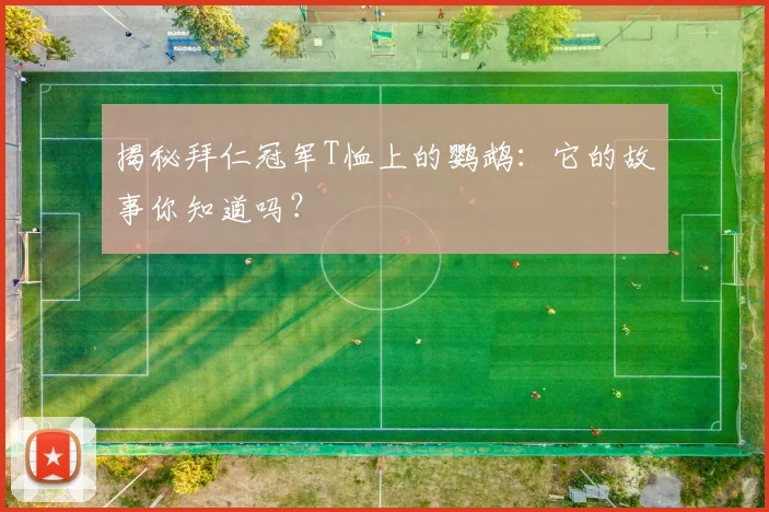揭秘拜仁冠军T恤上的鹦鹉:它的故事你知道吗?
